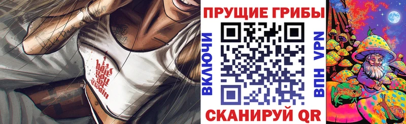 Купить  Мглин  Псилоцибиновые грибы мухоморы 